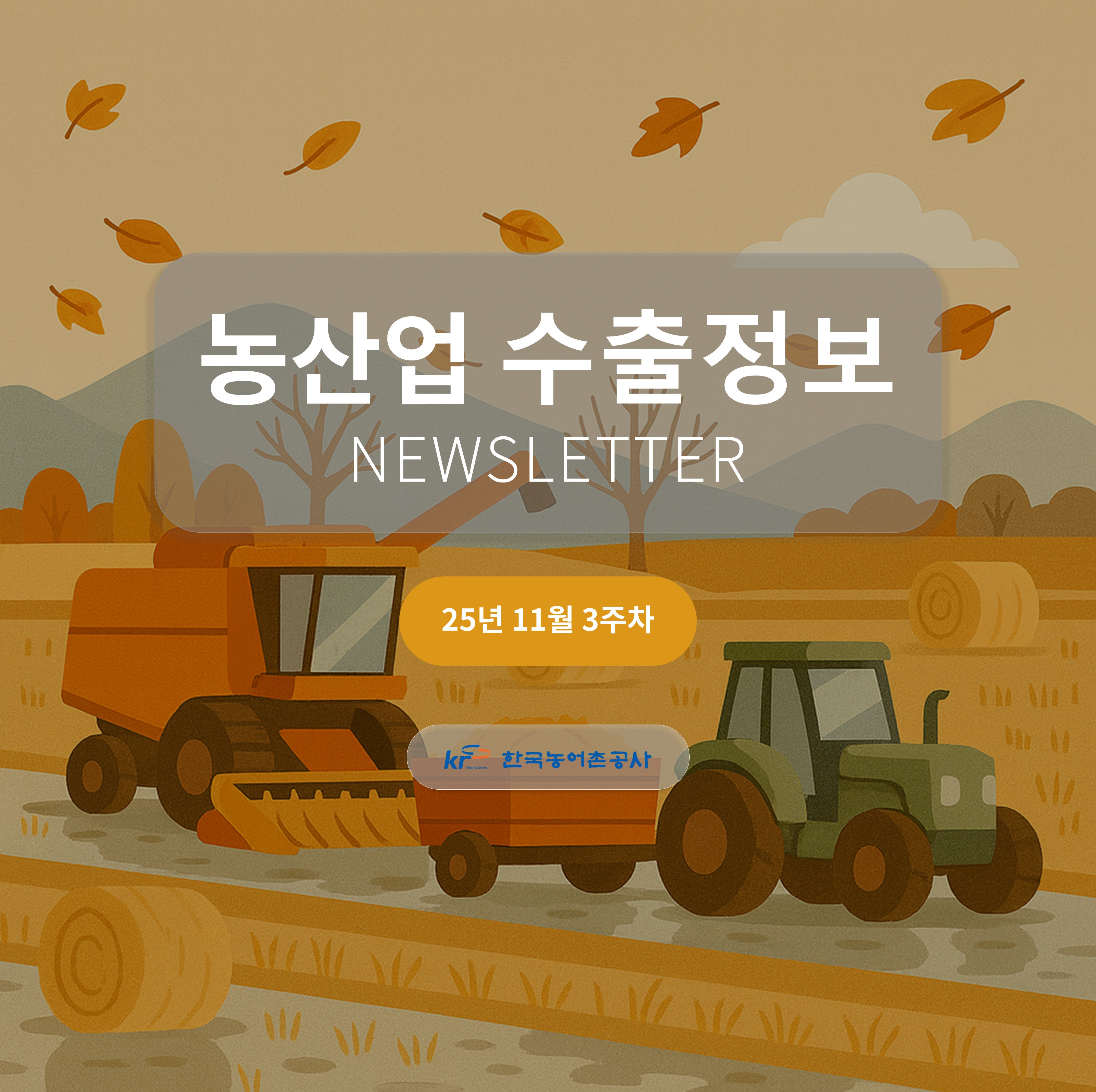 2025년 11월 3주차 카드뉴스