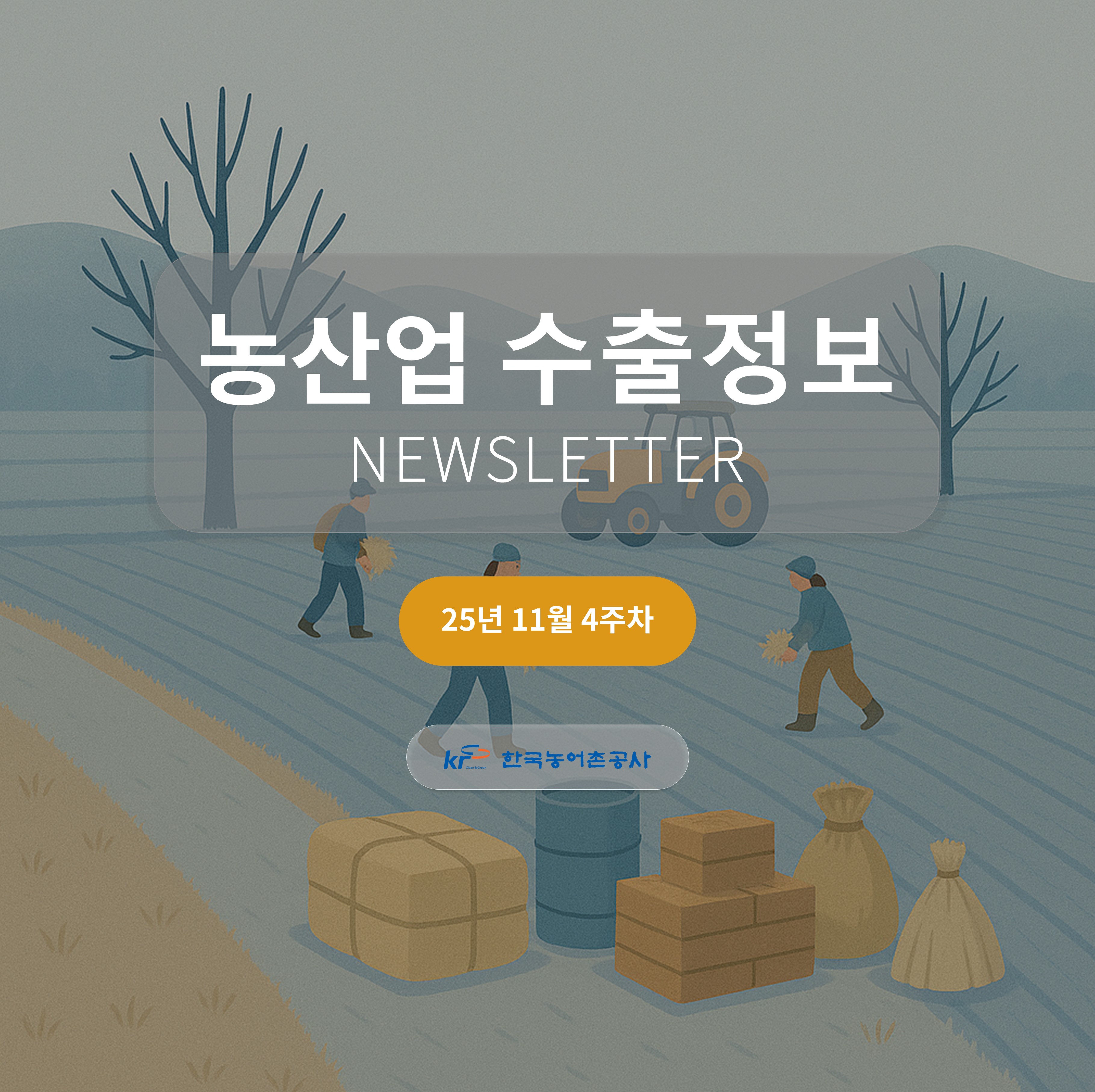 2025년 11월 4주차 카드뉴스