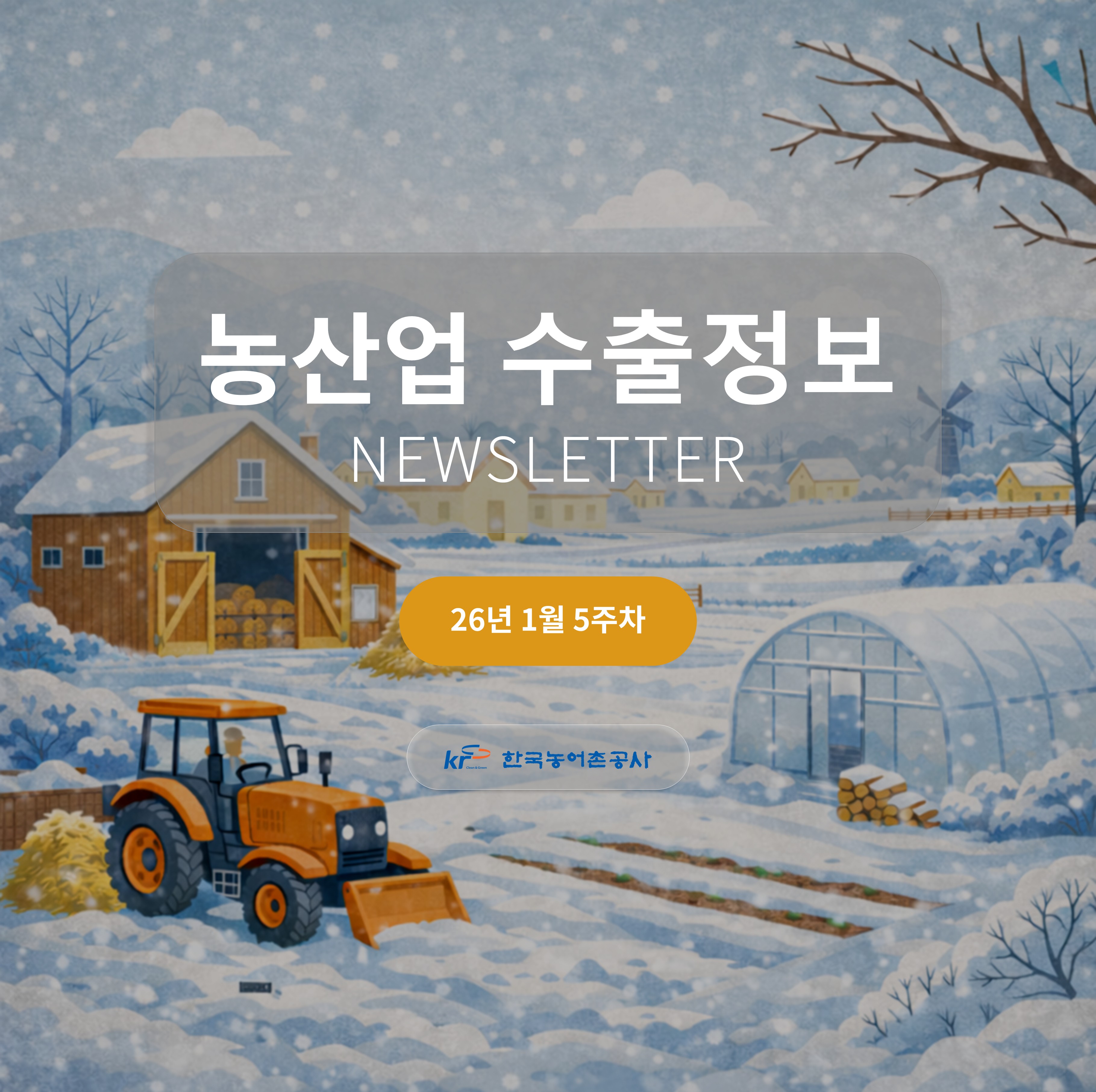 2026년 1월 5주차 카드뉴스