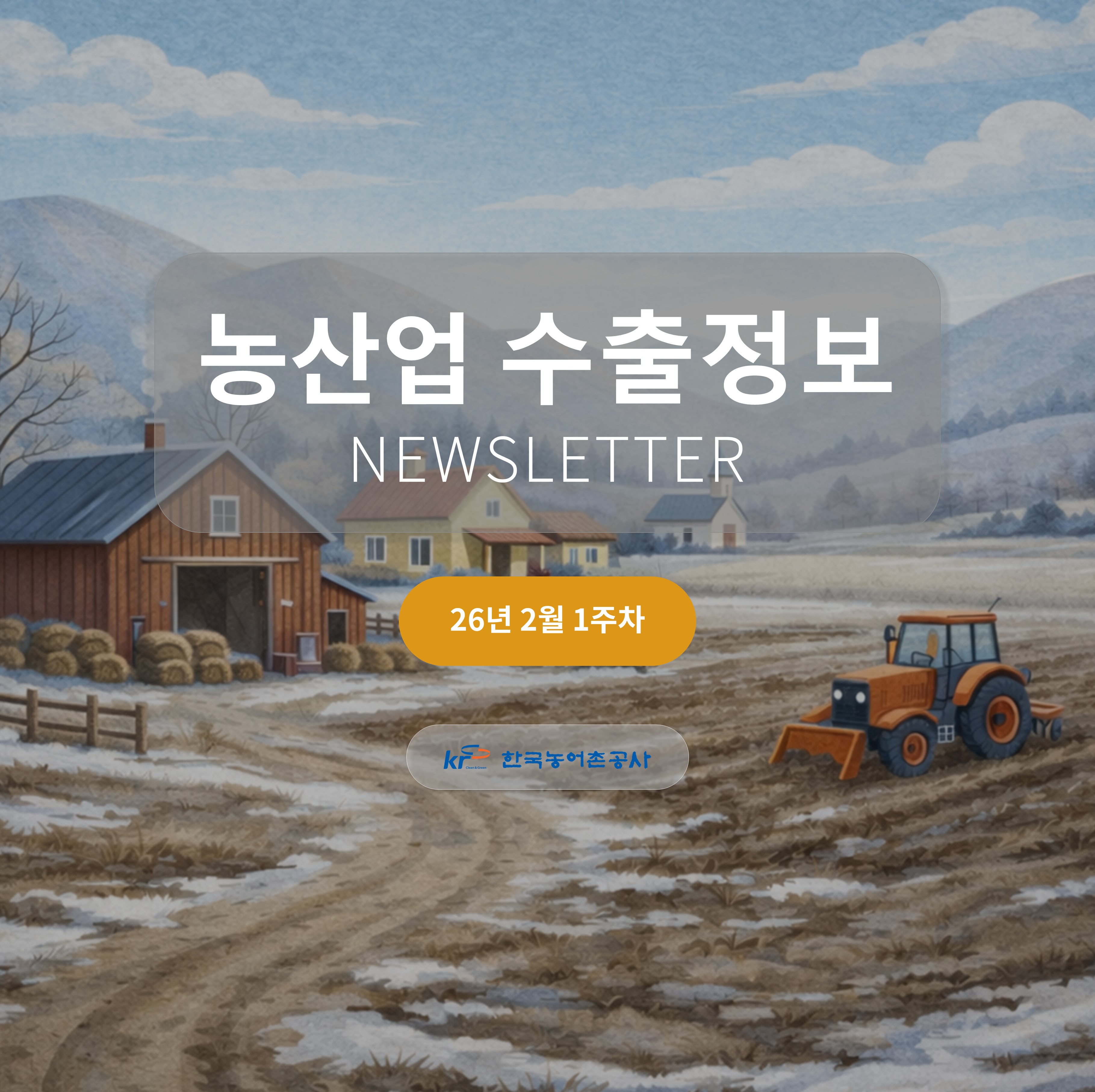 2026년 2월 1주차 카드뉴스