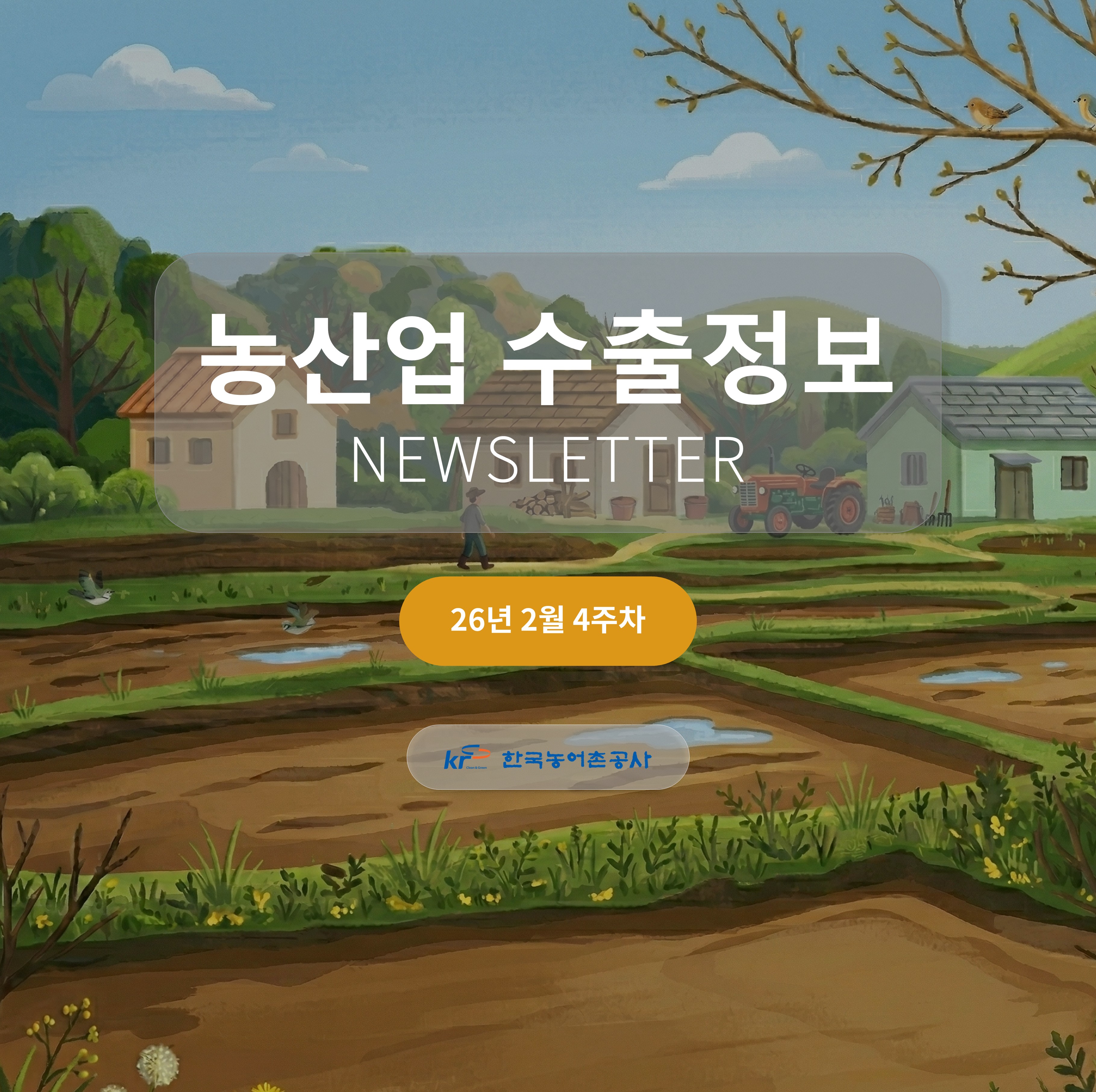 2026년 2월 4주차 카드뉴스