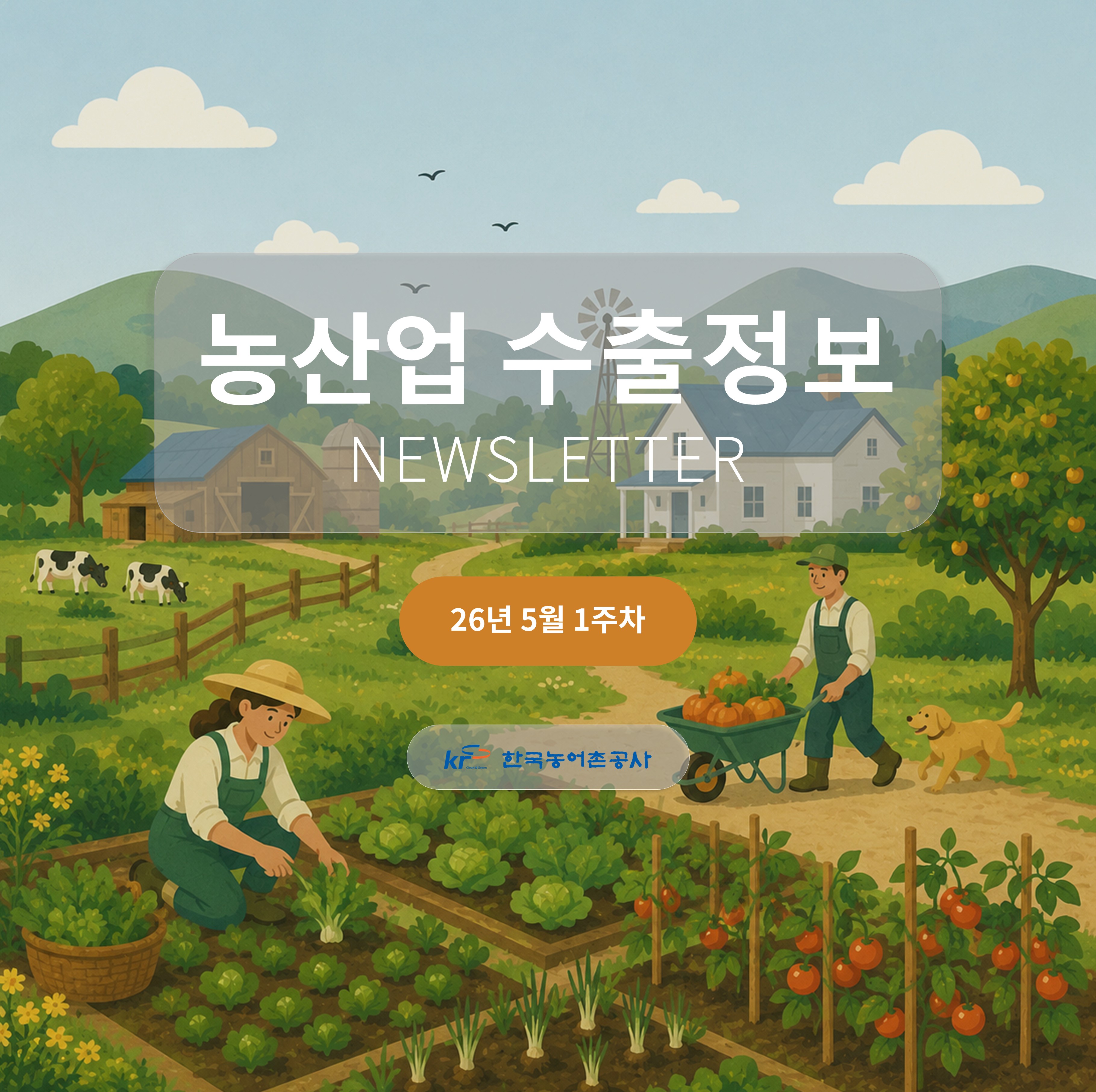 2026년 5월 1주차 카드뉴스