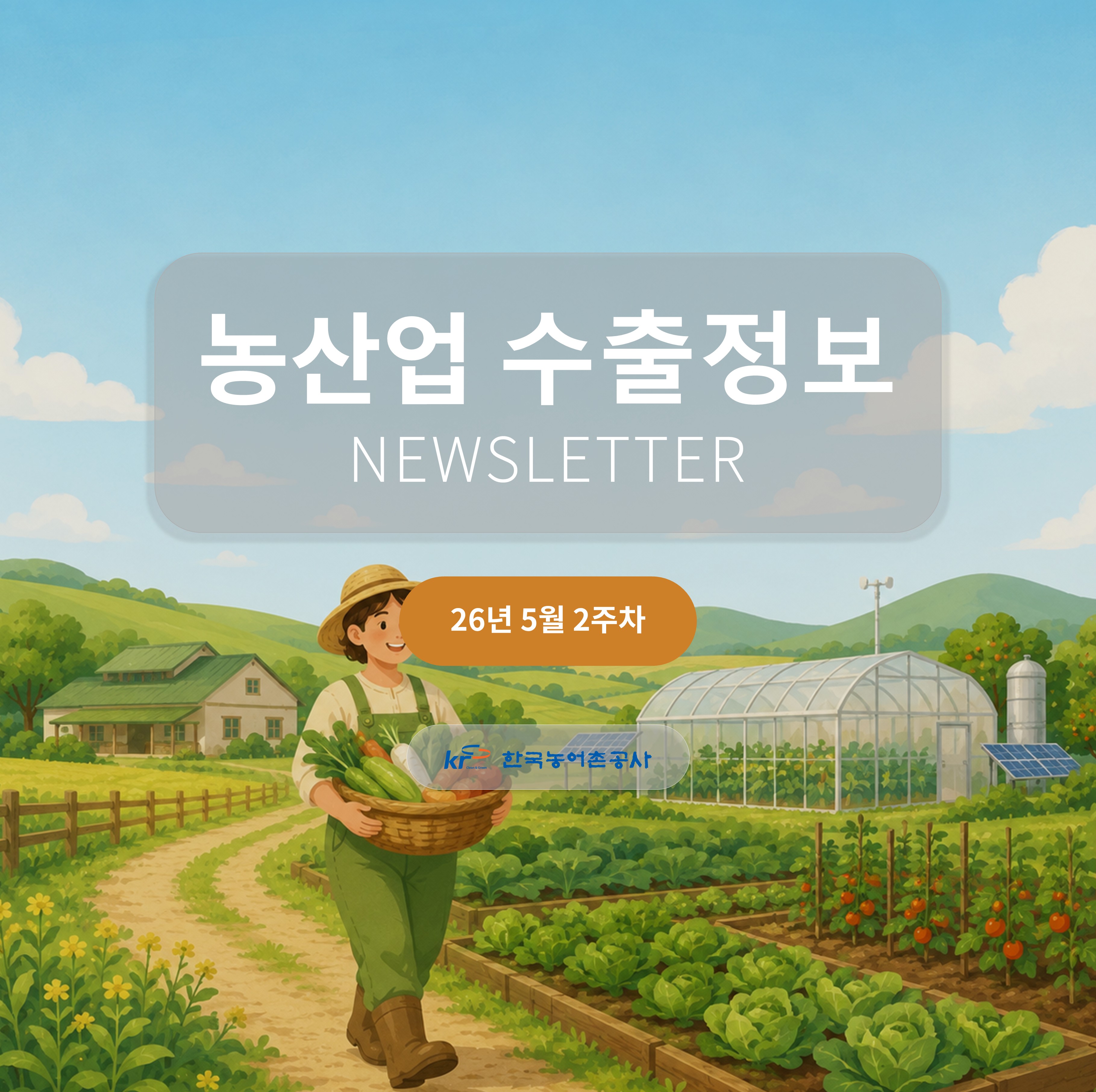 2026년 5월 2주차 카드뉴스