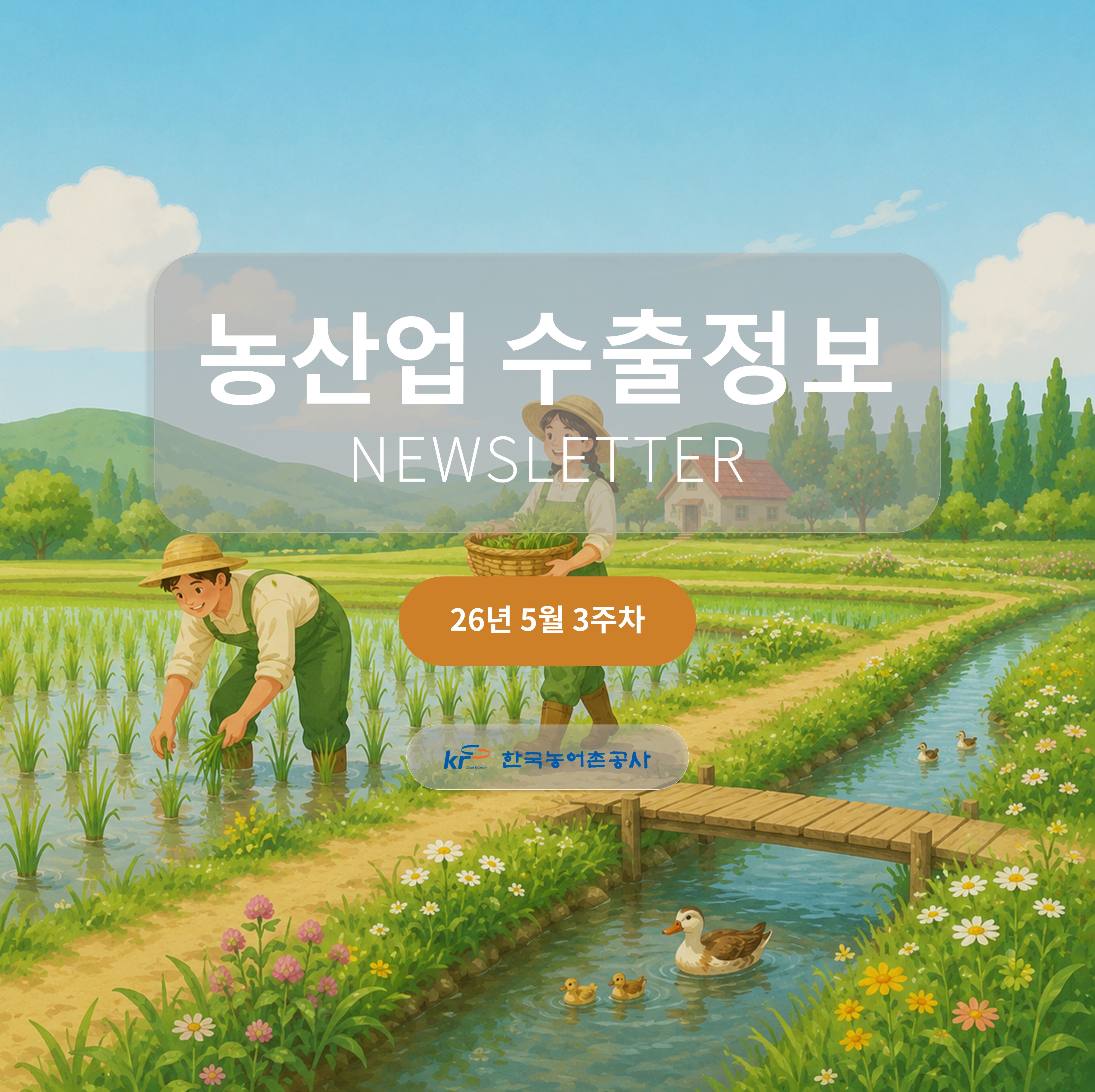 2026년 5월 3주차 카드뉴스