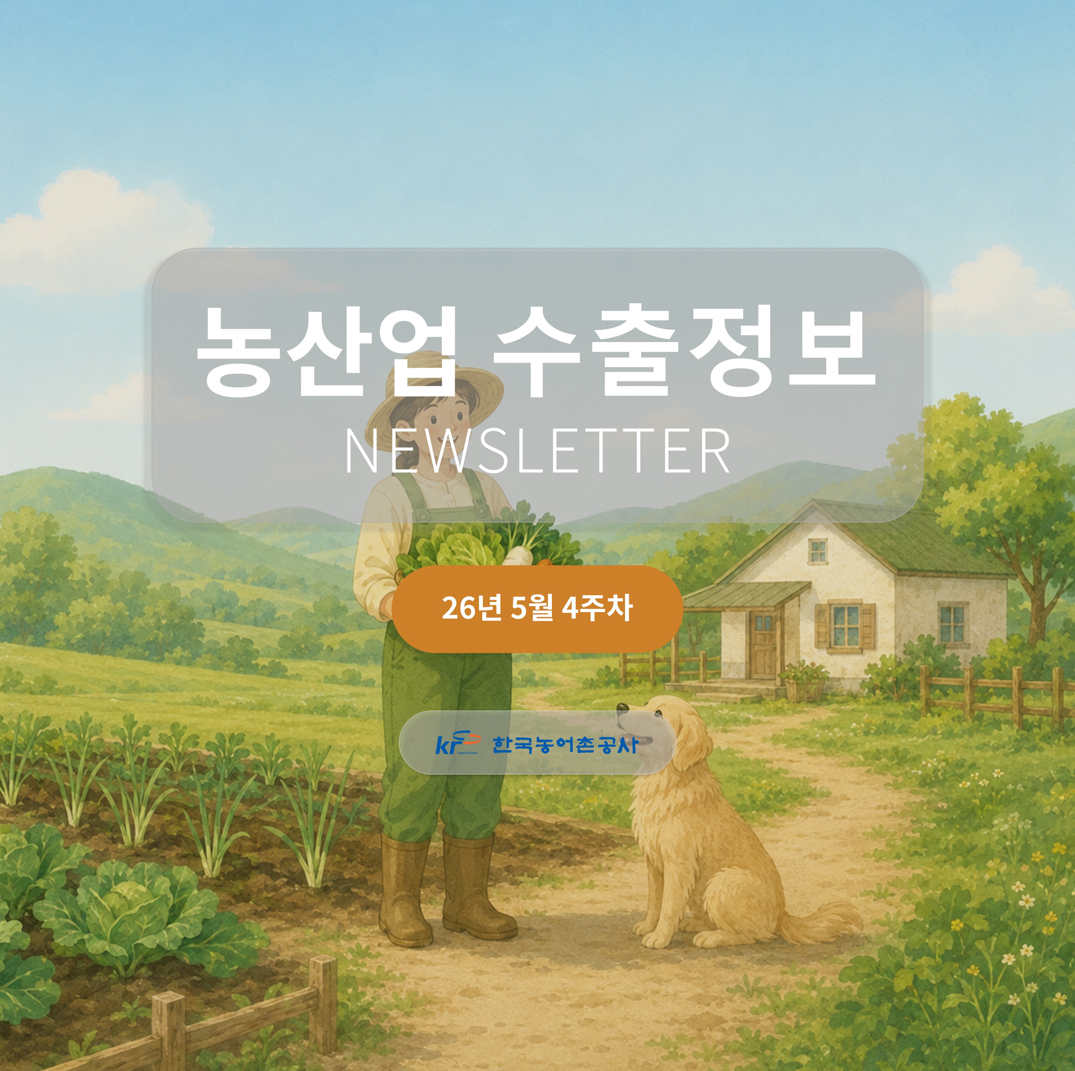 2026년 5월 4주차 카드뉴스