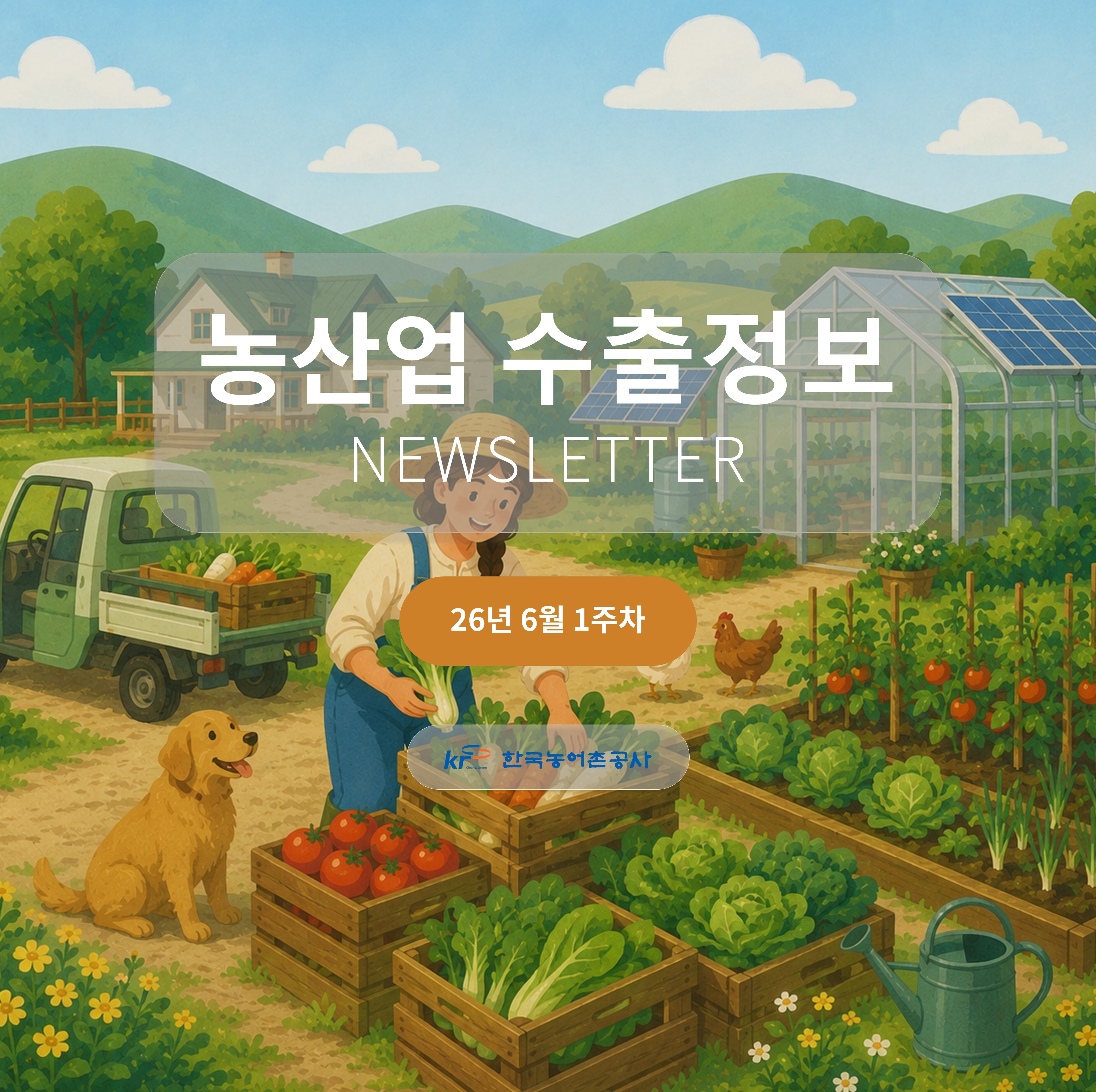 2026년 6월 1주차 카드뉴스