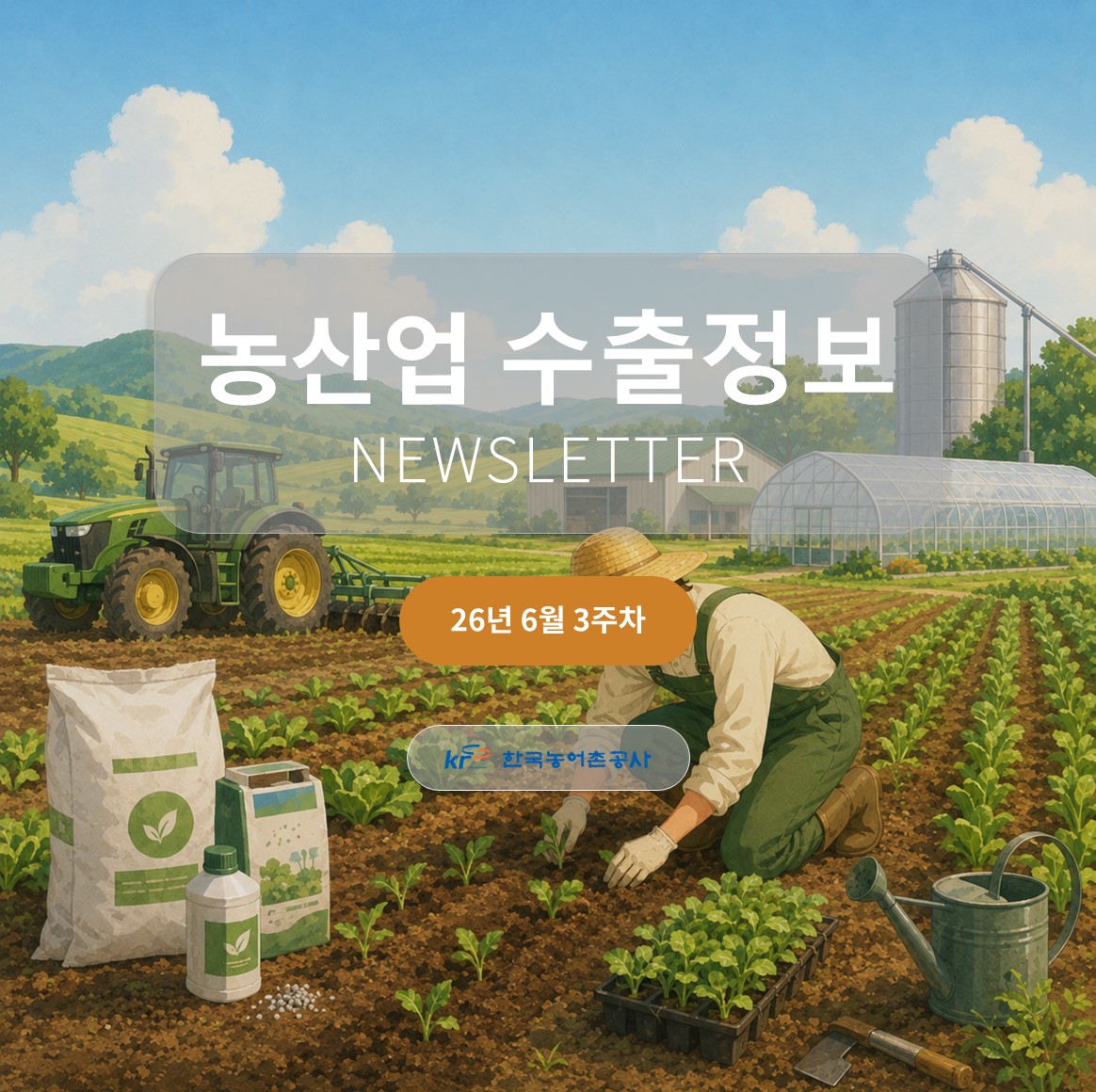 2026년 6월 3주차 카드뉴스