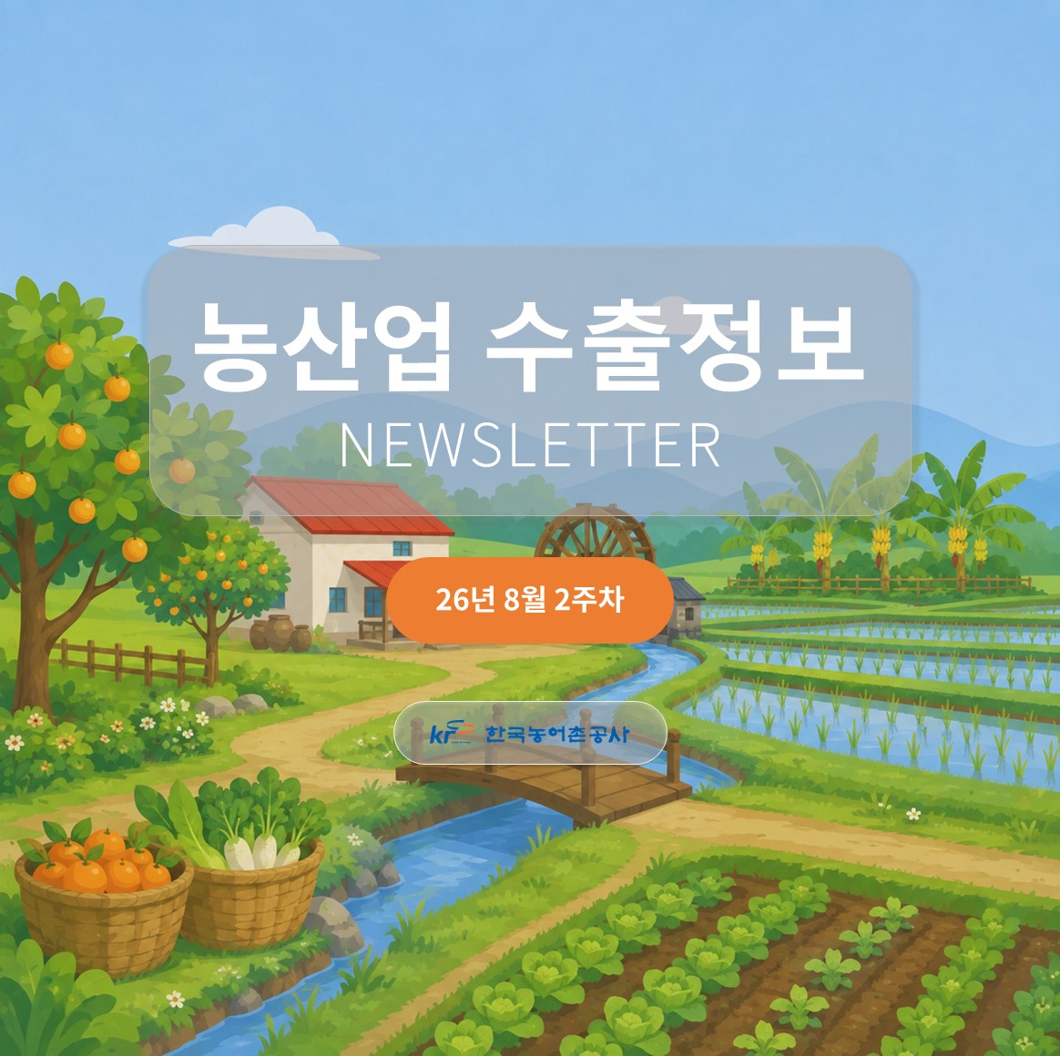 2026년 8월 2주차 카드뉴스