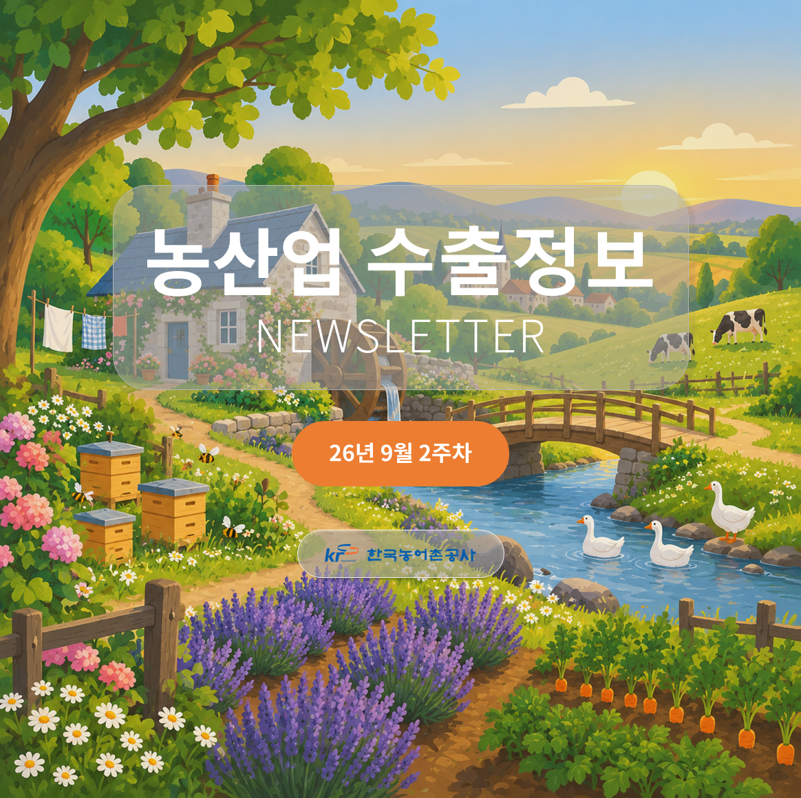 2026년 9월 2주차 카드뉴스
